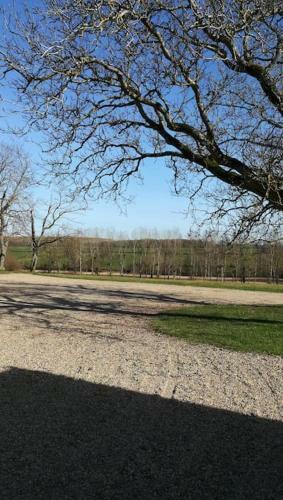 Le Moulin � Vent
