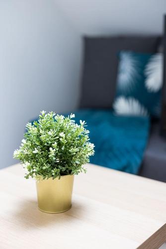 Apartamento ? Murard -4 Pers - Wifi- Boite � Clef ?