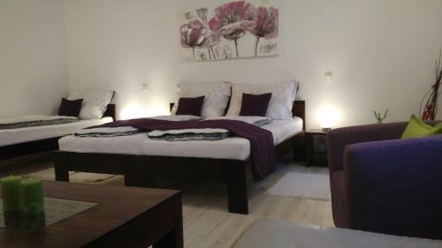 Apartm�ny Cechovn�
