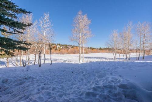 Snowcreek - #510 Phase IV