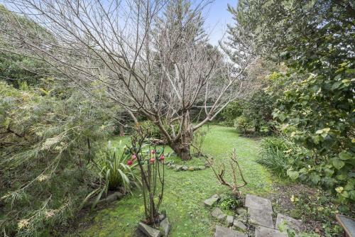 The Secret Garden