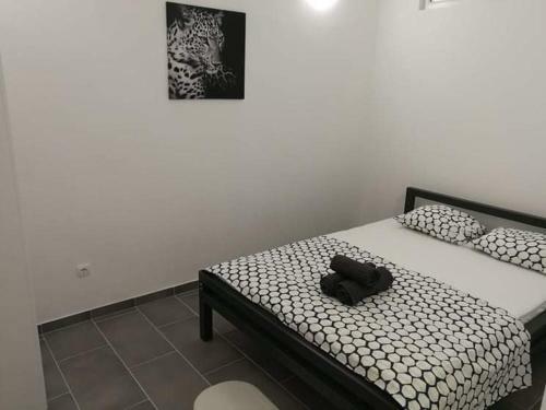 Apartmani Biba, Vir