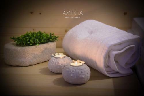 Bed & Breakfast Aminta - Rooms & Wellness