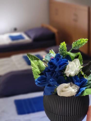 Blue Apartments - Ohrid Center