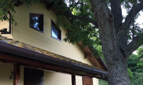 Lo Chalet Tra Le Querce