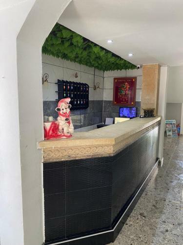 Hotel N?l Mars Otel