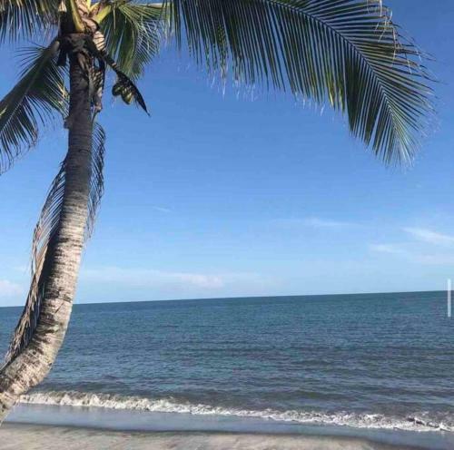 Hermoso Apartamento A Minutos de La Playa !