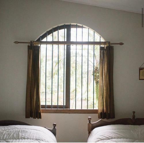 Homestay Argopeni