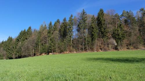 Bed & Breakfast Landhaus Waldfrieden
