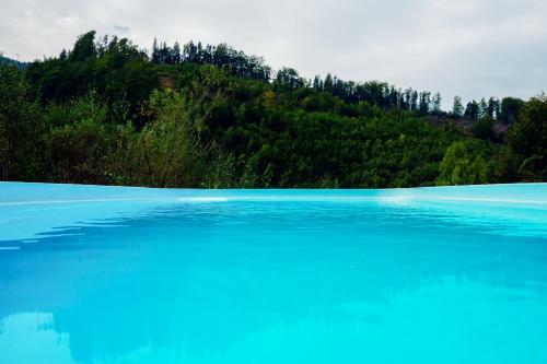 Hostal Pensiunea Fish Valley