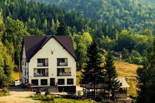 Hostal Pensiunea Fish Valley