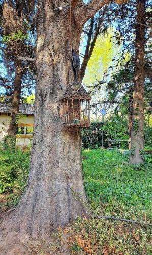 Casa Vineros = Monta�a + Relax + Bodegas + Verde