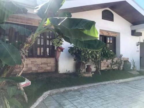 Nesor Apartment