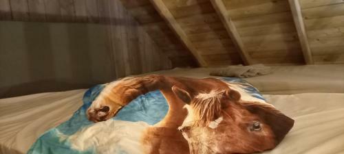 La Cabane De L�on