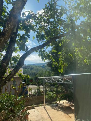 Shine ?� L?t Homestay
