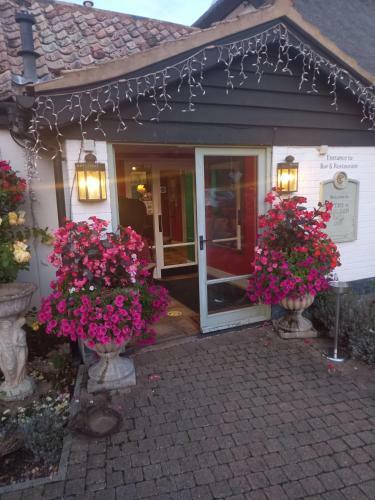Posada Golden Ball Hotel