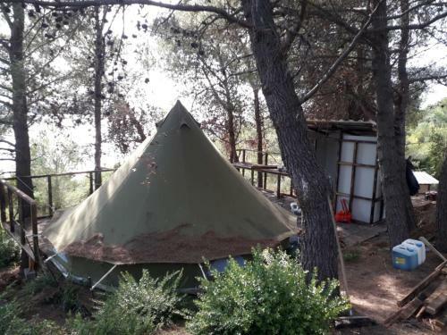 Zelt 6 Camp West