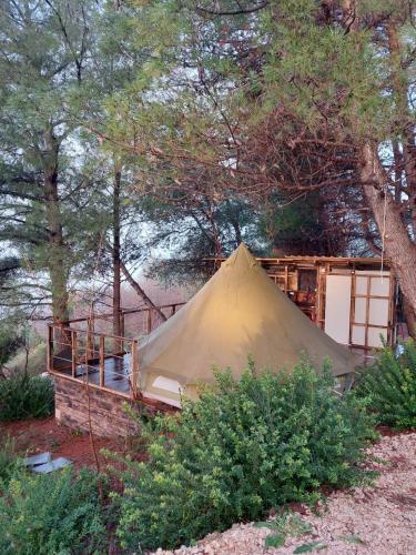 Zelt 6 Camp West