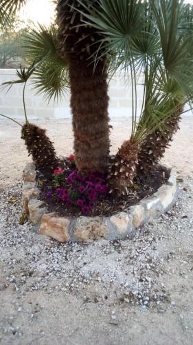 Hostal Bianca Lamia Ostuni