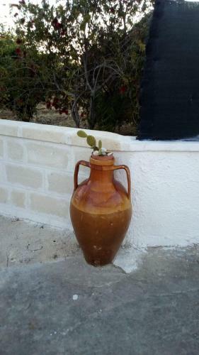 Hostal Bianca Lamia Ostuni