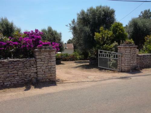 Bonifacio,studio Ind�pendant, Sous Les Oliviers