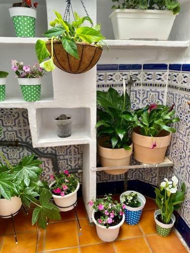 Apartamento Los Patios de Cordoba