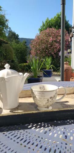 Bed & Breakfast Casa Agapanthus