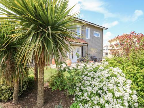 Links View
