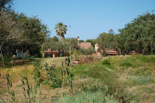Casa Mascia
