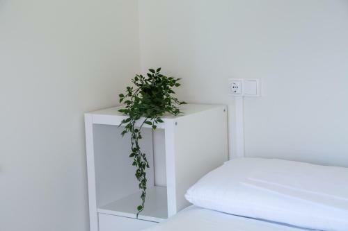 Aterpe Kanpezu Hostel