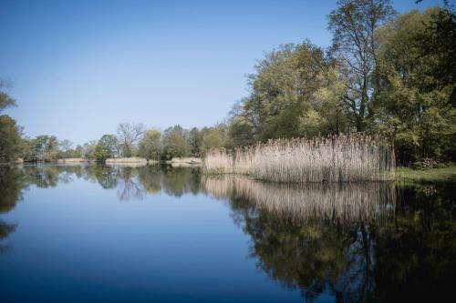 Apartamento Ferienwohnungen ?villa Havelblick?