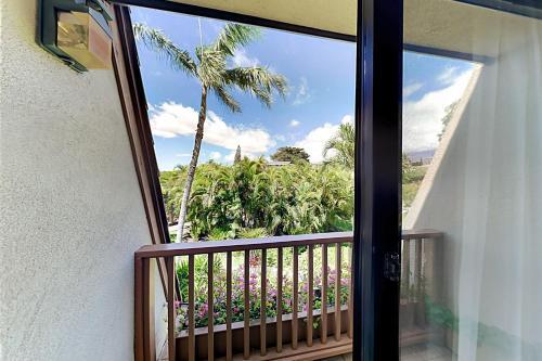 Maui Kamaole M209