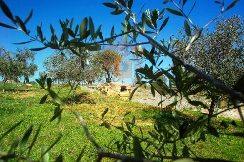 Agroturismo Palazzo Mascambruno