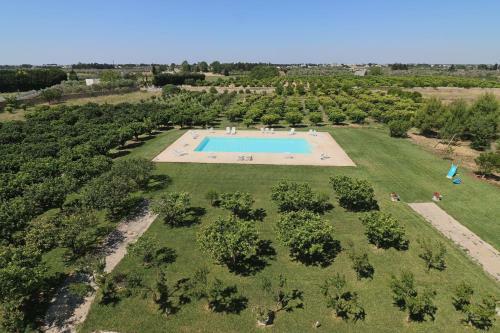 Bed & Breakfast Tenuta Degli Agrumi