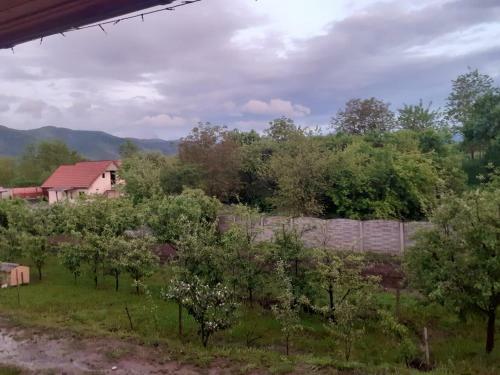 Hostal Pensiunea Scorilo