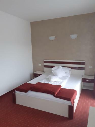 Hostal Pensiunea Scorilo