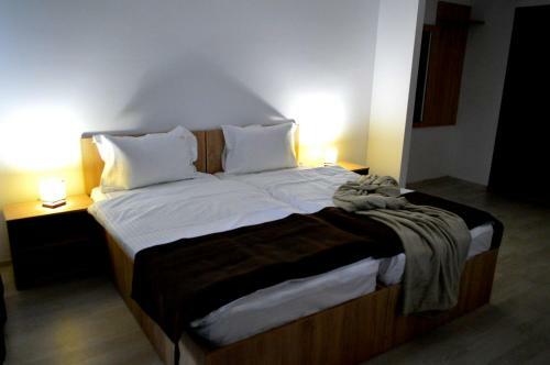 Hostal Pensiunea Alesia