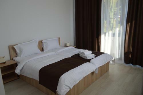 Hostal Pensiunea Alesia