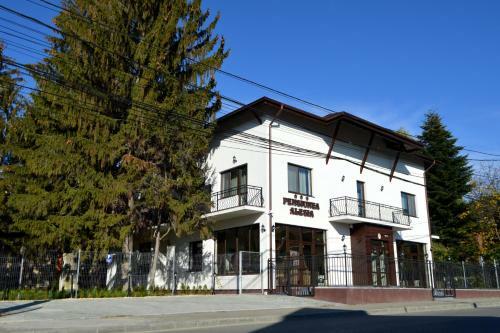 Hostal Pensiunea Alesia