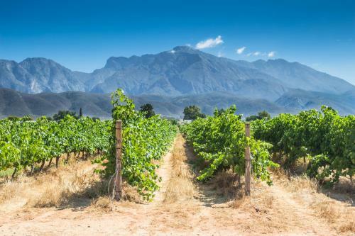 Swellendam Country Lodge - Guest House - B&B