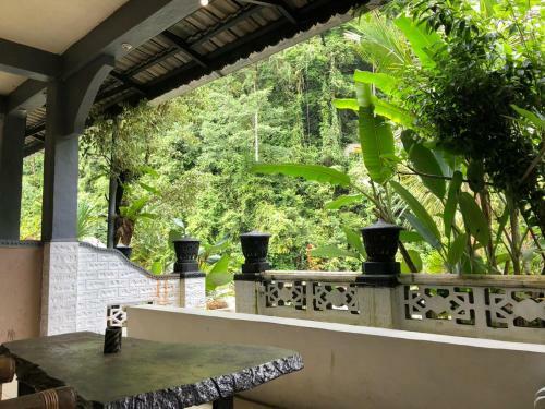 Hotel Jungle Inn