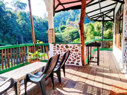 Hotel Jungle Inn