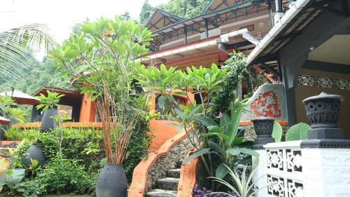 Hotel Jungle Inn