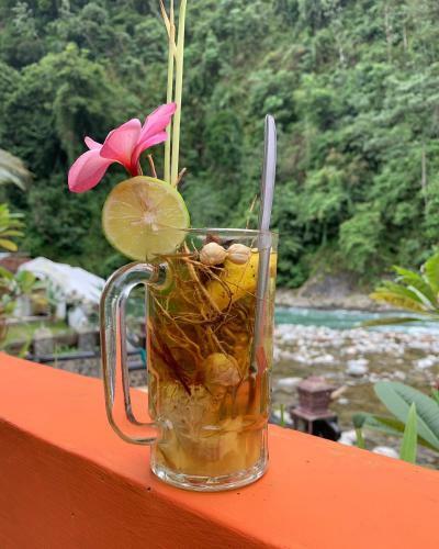 Hotel Jungle Inn
