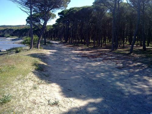 La Locanda Del Mare B&B