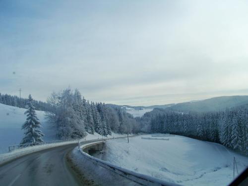 Hostal Alpenpension Gasthof