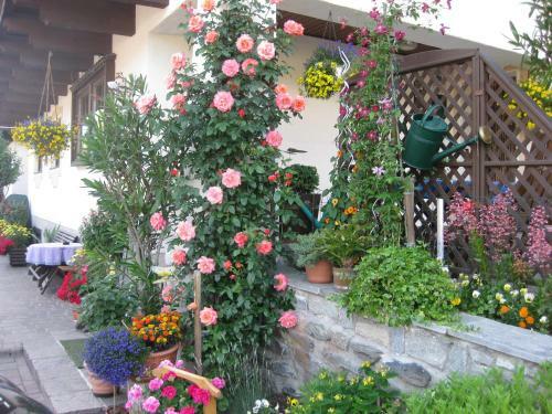 Bed & Breakfast Pension Schipflinger