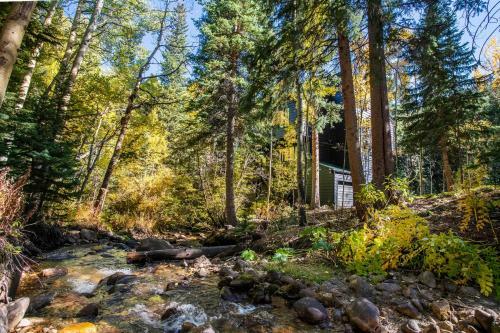 Tranquil Dumont Home With Creek And Mtn Views!