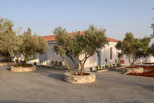 Apartamento Dionisos Suites
