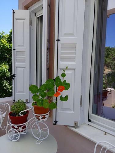 Andros Lighthouse Apartments